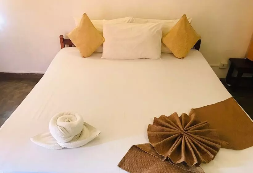Hotelli Salty Seahorse Mount Lavinia