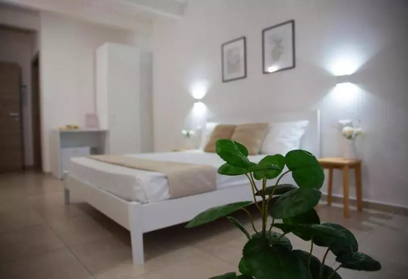 Majatalo Dome Affittacamere