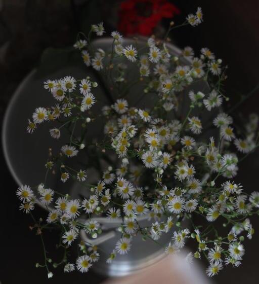 بنسيون Exstacy S Bathtub Rooms & Cafe