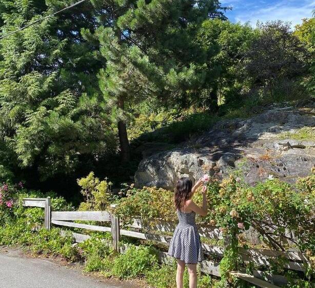 بنسيون Exstacy S Bathtub Rooms & Cafe