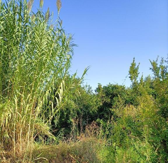 Pensionat Holistic Balance