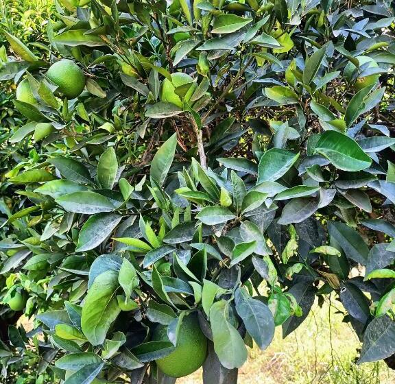 Pensionat Holistic Balance