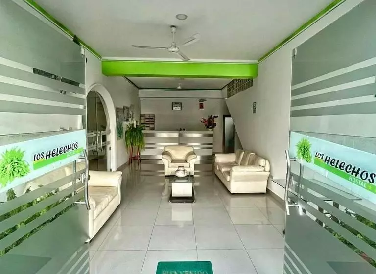 پانسیون Hostal Los Helechos Tarapoto