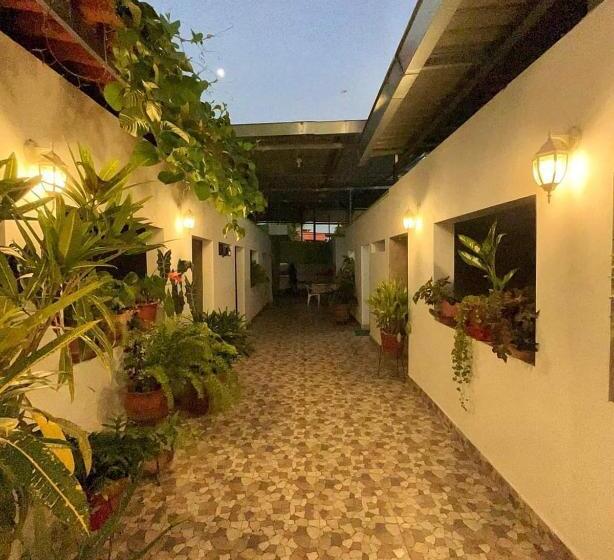 پانسیون Hostal Los Helechos Tarapoto