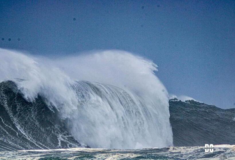 膳宿费 Nazaré Wsl Experience 2025
