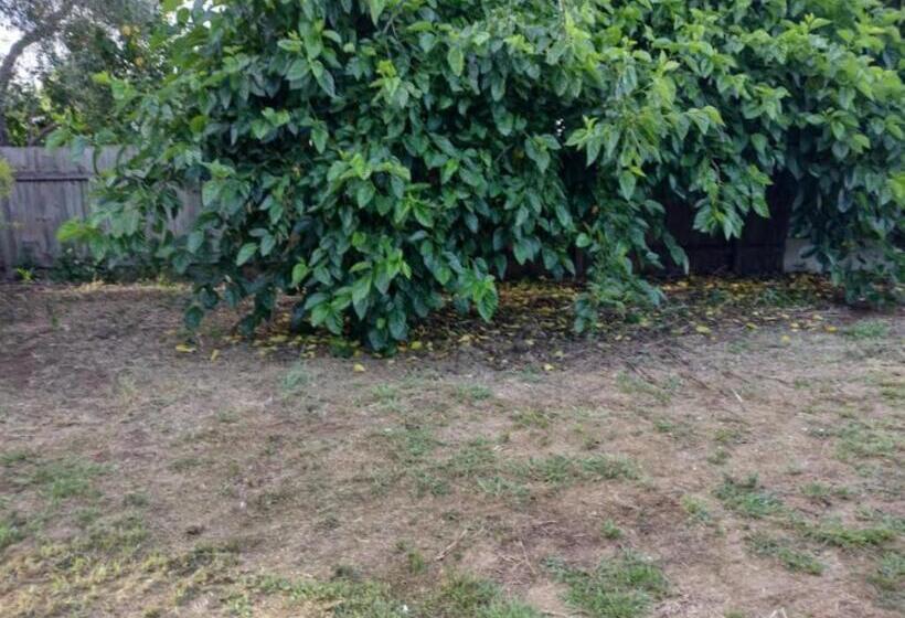 膳宿费 The City Dweller Kingaroy