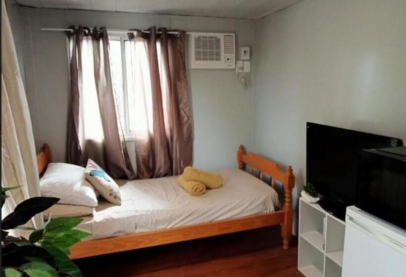 膳宿费 The City Dweller Kingaroy