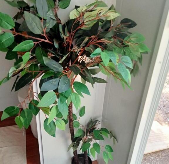 膳宿费 The City Dweller Kingaroy