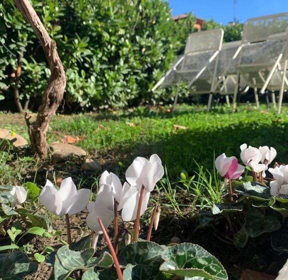 민박 R&b Dalla Licia