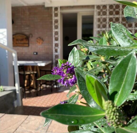 민박 R&b Dalla Licia