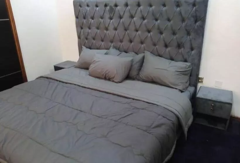 Cozy Comforts