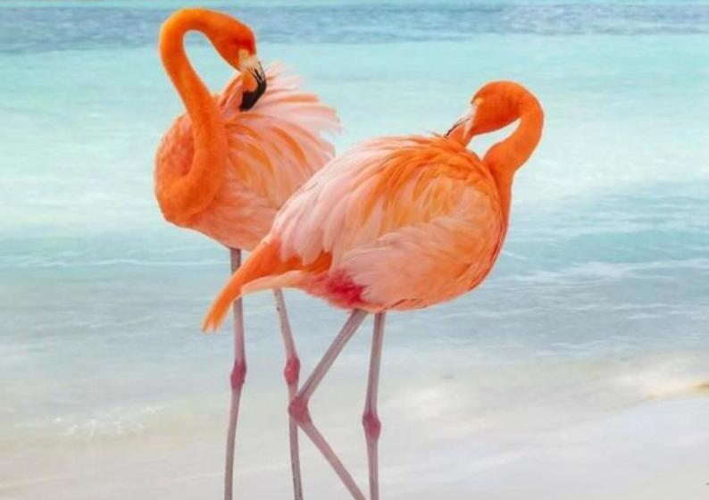 First Day Hotel On Aruba!