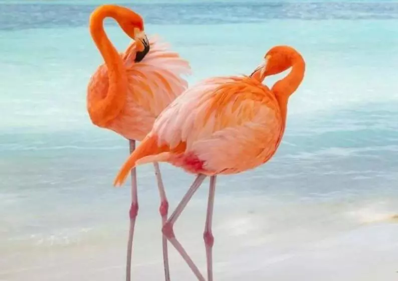 First Day Hotel On Aruba!