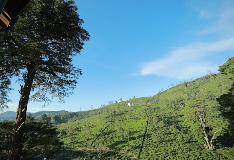 ホテル Single Tree Mount