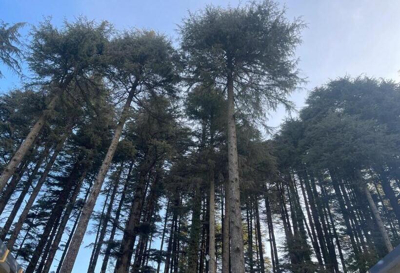 Hotel The Deodar Stays