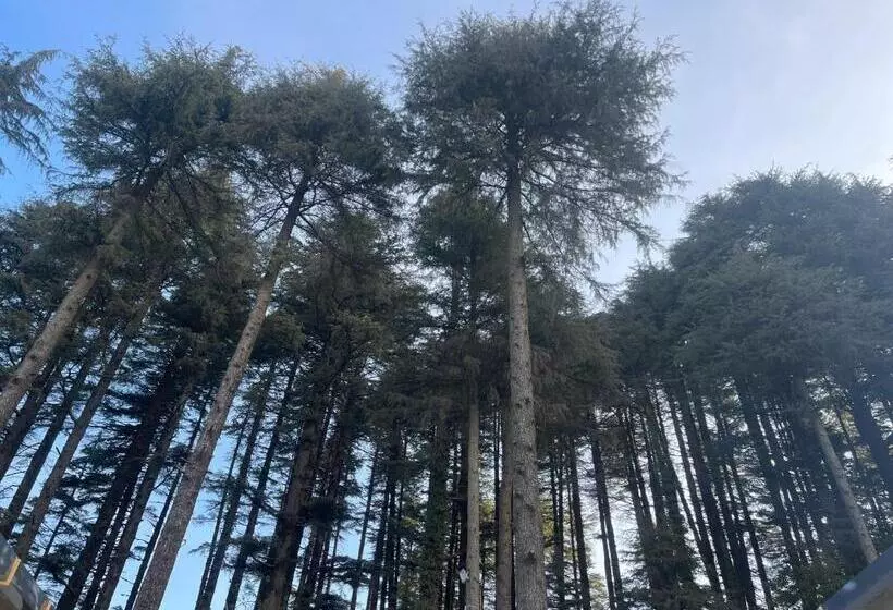 Hotelli The Deodar Stays