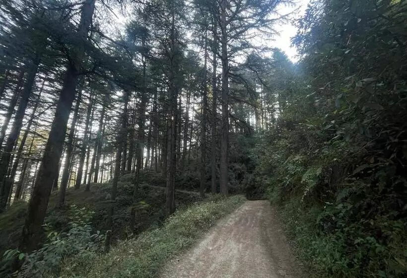 Hotelli The Deodar Stays