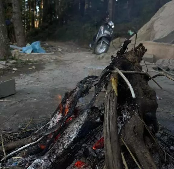 Hotelli The Deodar Stays