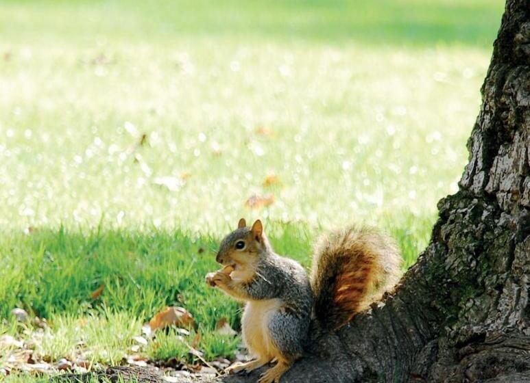 פנסיון Detached House A Room In Essex