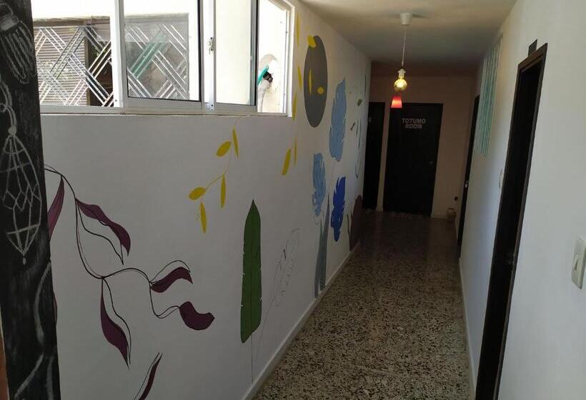 هاستل Casa Almendros