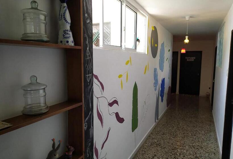 هاستل Casa Almendros