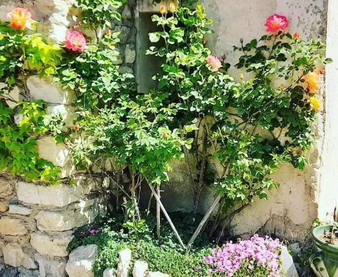 Aamiaismajoitus (B&B) Chambres D Hôtes Et Cuisine Commune, Domaine Les Peupliers, Lagnes