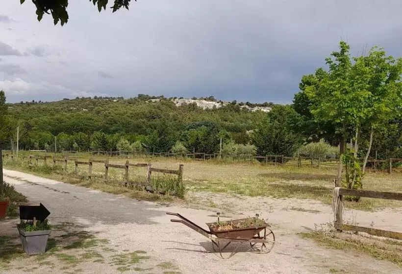 Aamiaismajoitus (B&B) Chambres D Hôtes Et Cuisine Commune, Domaine Les Peupliers, Lagnes