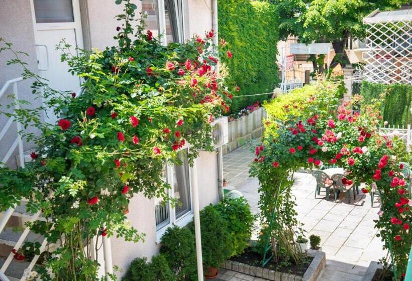 هتل стаи за гости