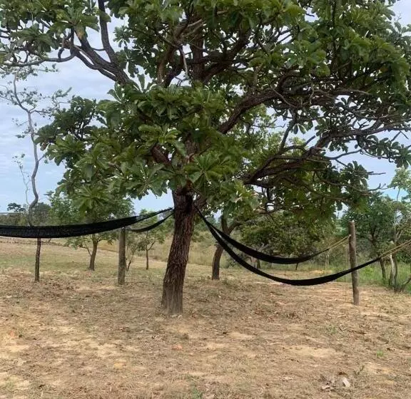 ホテル Estancia Solar Da Canastra