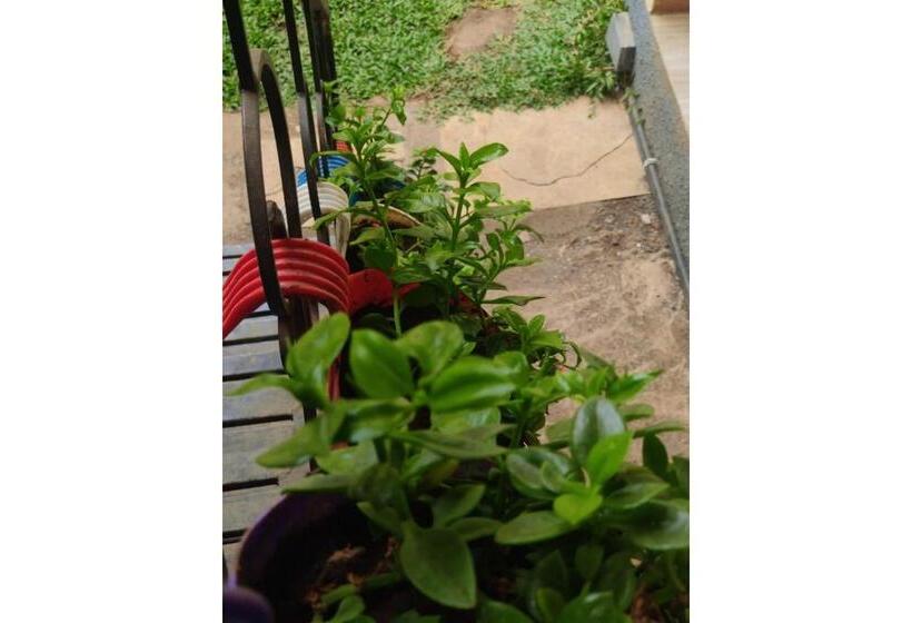 ホテル Waves Rooms By 29bungalow