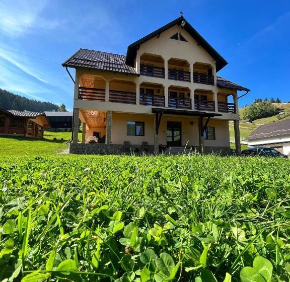 Pensionat Matei Moieciu De Sus