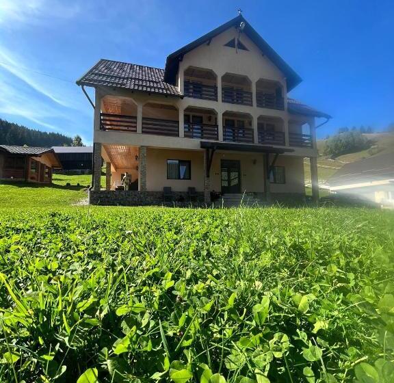 Pensionat Matei Moieciu De Sus