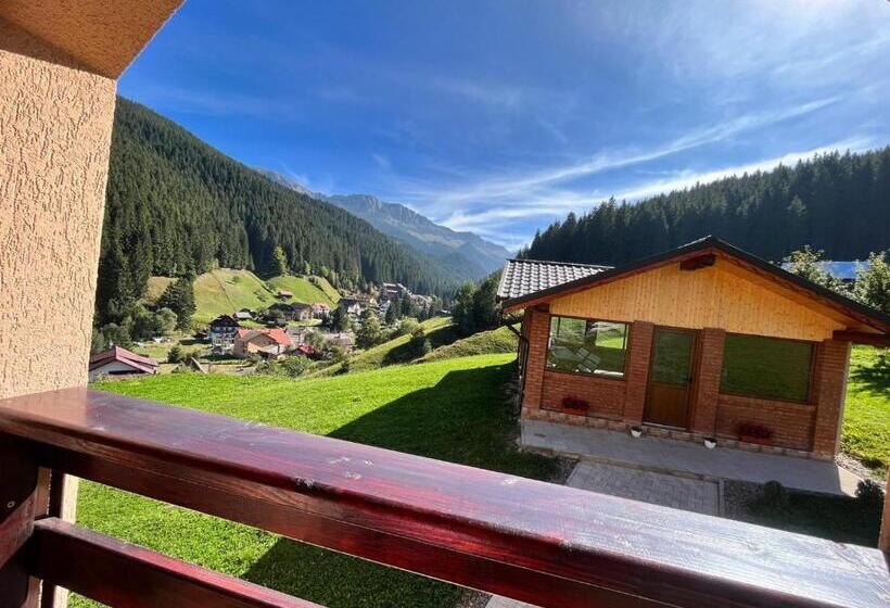 Pensionat Matei Moieciu De Sus