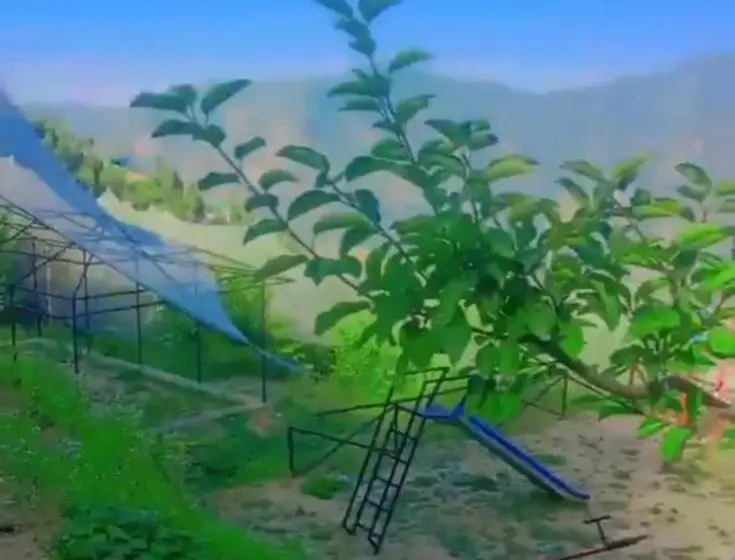 Tree Nest Resort By The Hfe