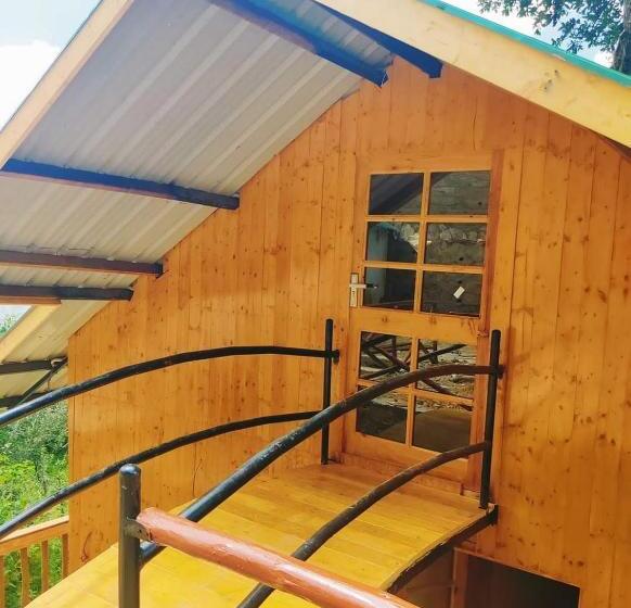 Tree Nest Resort By The Hfe