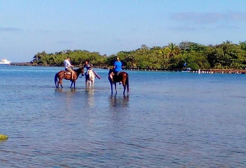 Acqua Di Mare Resort