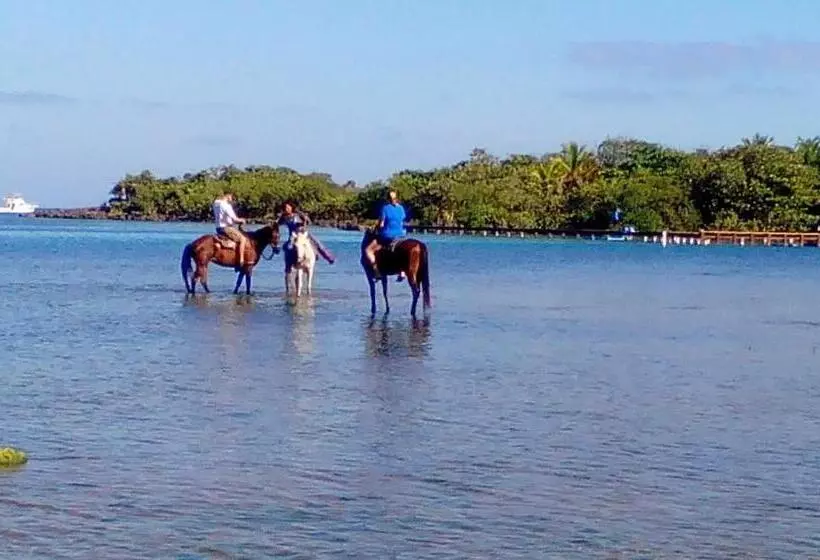 Acqua Di Mare Resort