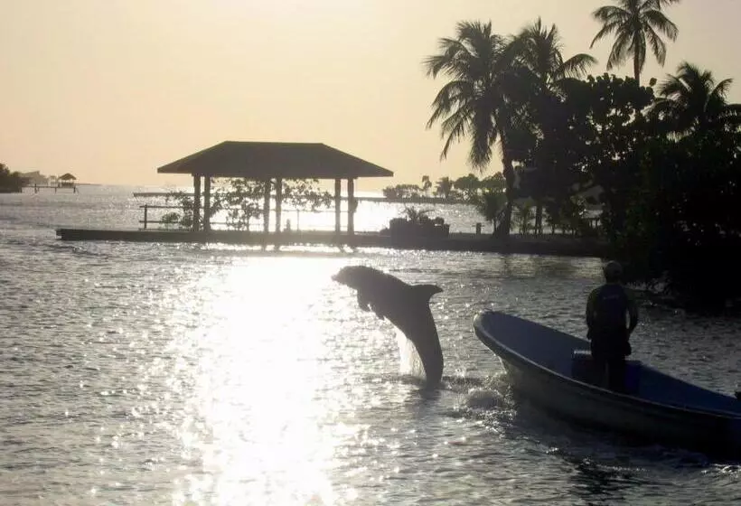 Acqua Di Mare Resort