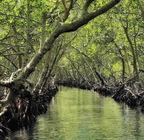 Acqua Di Mare Resort