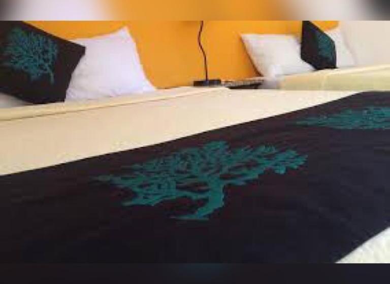 Bamboleo Inn Guest House