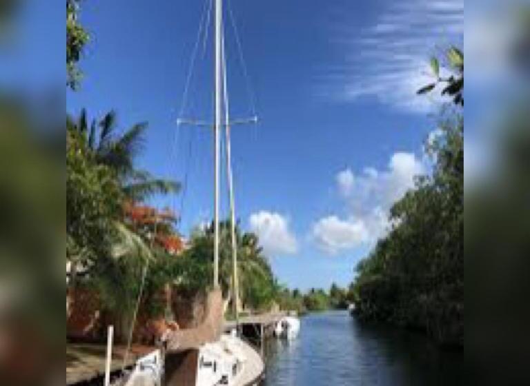 Bamboleo Inn Guest House