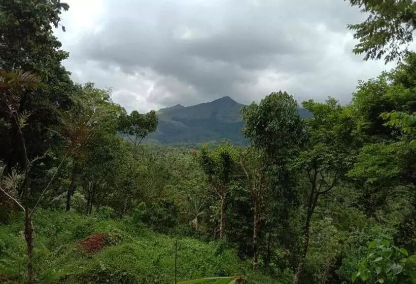 Aamiaismajoitus (B&B) Bob Vythri Danish Resorts