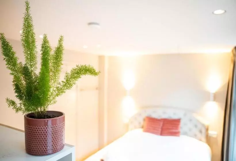 צימר Renovated Parkside Gem   2 Person Studio In The Pijp