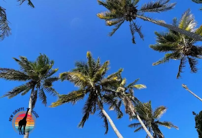 ベッドアンドブレックファースト New Giraffe House