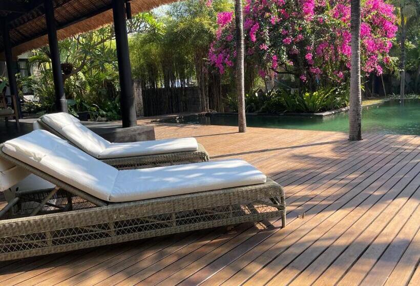 Bed and Breakfast Villa Rawarawa