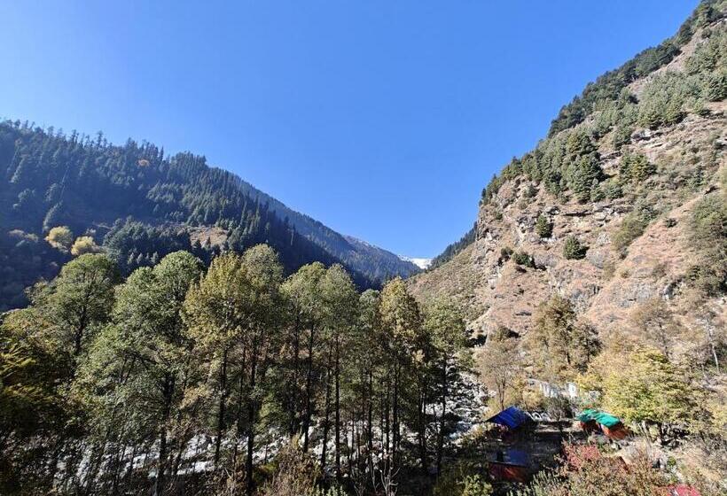 Hotel Alooma Cafe And Homestay