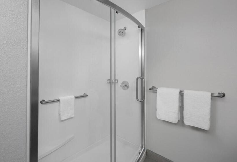 호텔 Courtyard Oldsmar