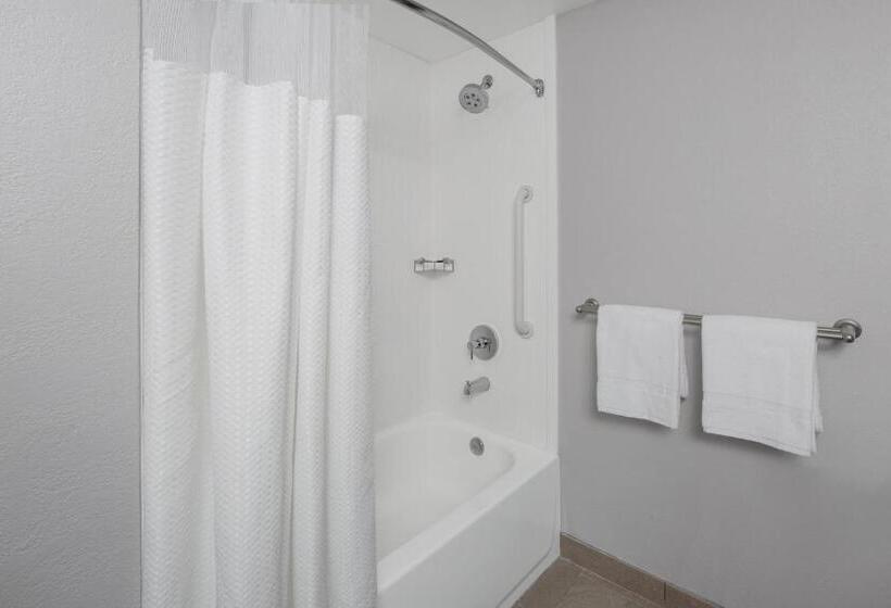 호텔 Courtyard Oldsmar