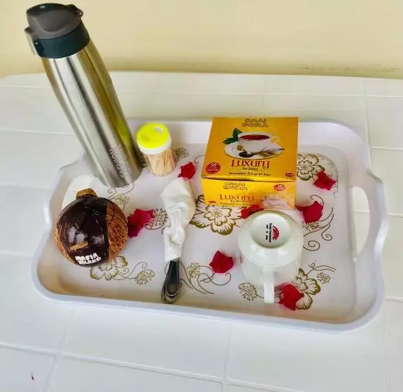پانسیون Classic Visitors House