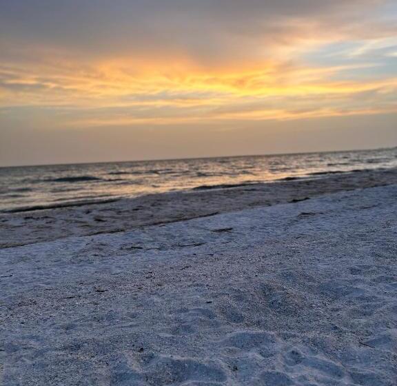 Always Summer On A White Sandy Beach